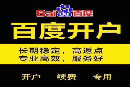 实战案例：SEM专员如何应对竞争
